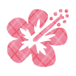 hawaii_mark2_hibiscus